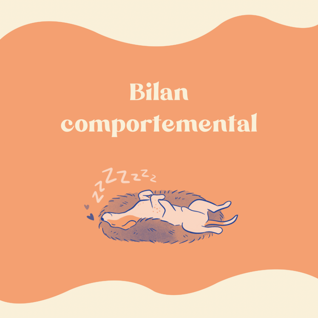 Bilan comportemental