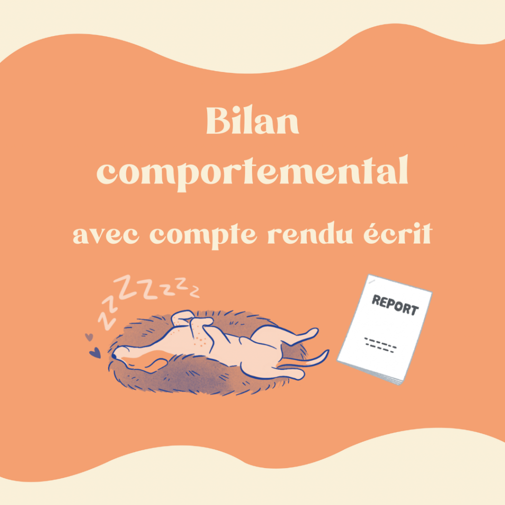 Bilan comportemental