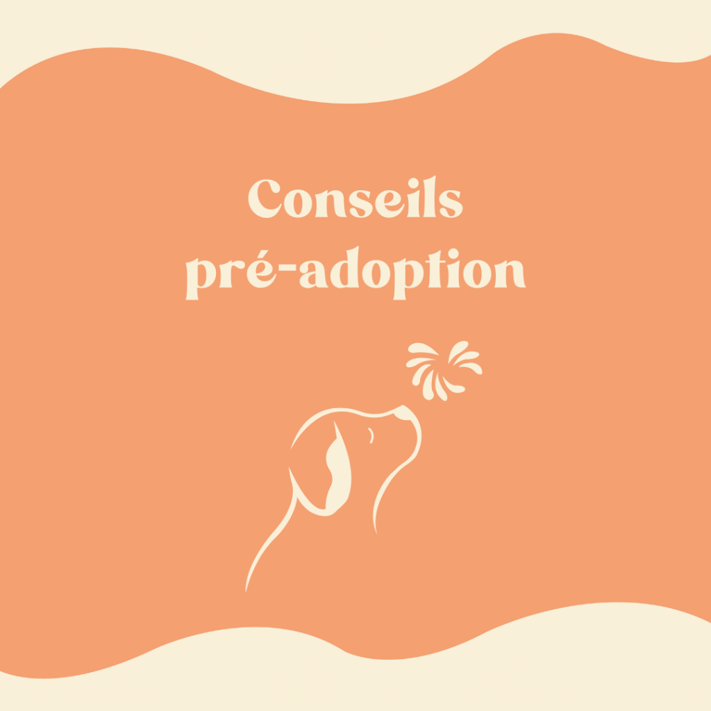 conseils pré-adoption