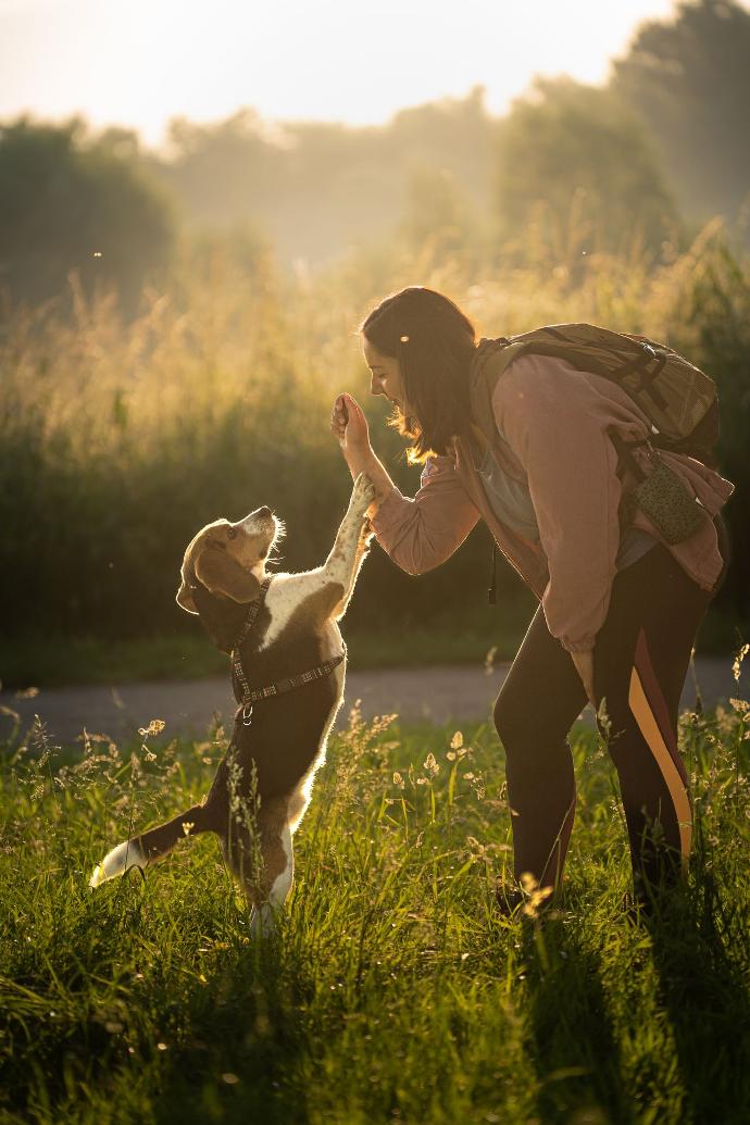 Julie Meslet comportementaliste éducatrice canin spécialisée en anxiété de séparation