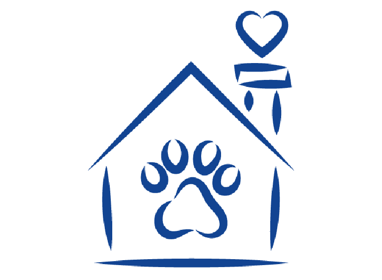 anxiété de séparation chien