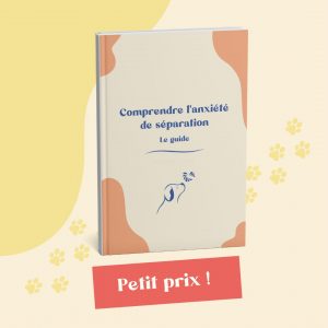Le guide pour comprendre l'anxiété de séparation