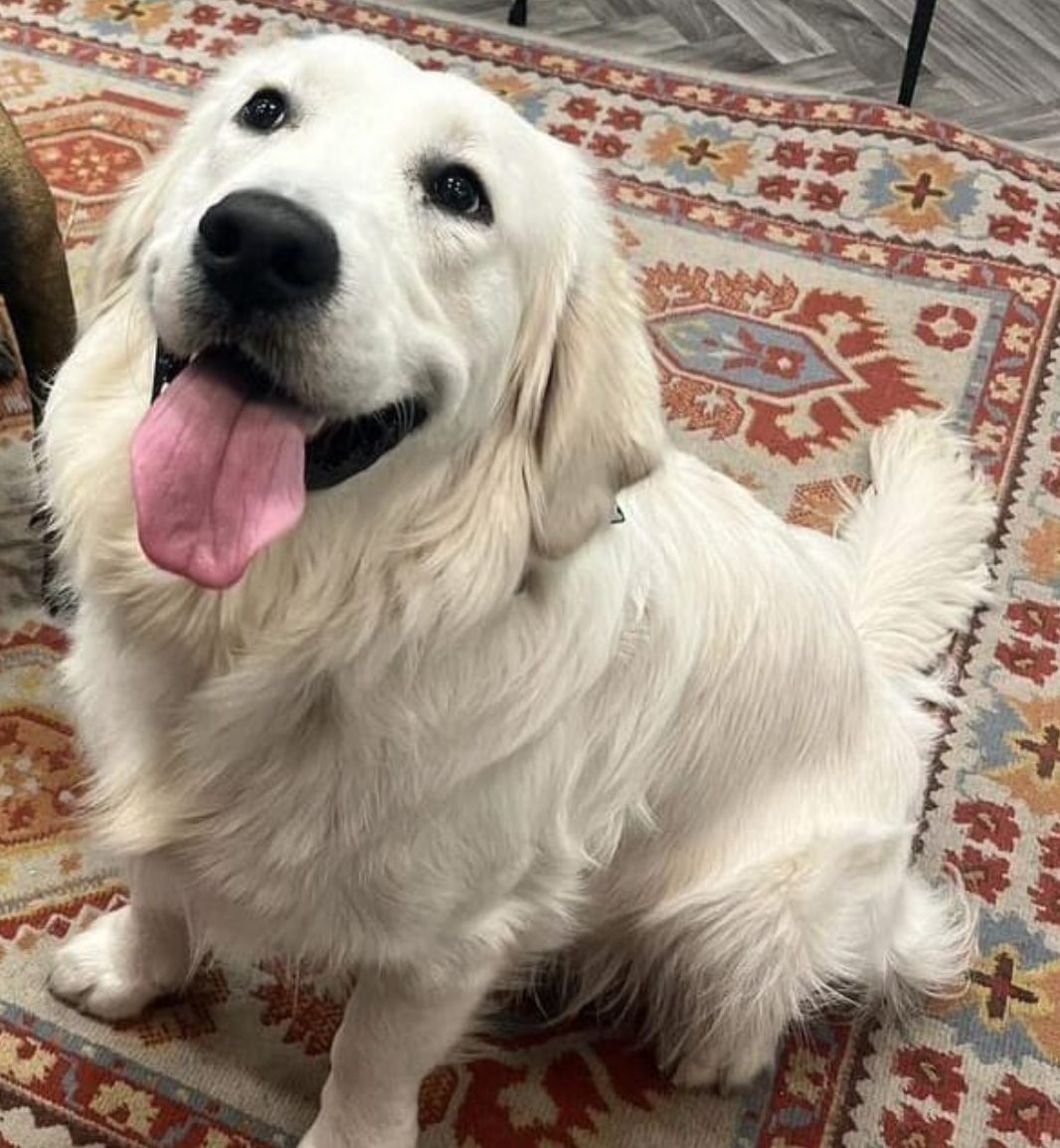 Angélique, Loïc et Grams