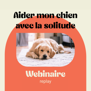Webinaire et kit - Aider mon chien avec la solitude