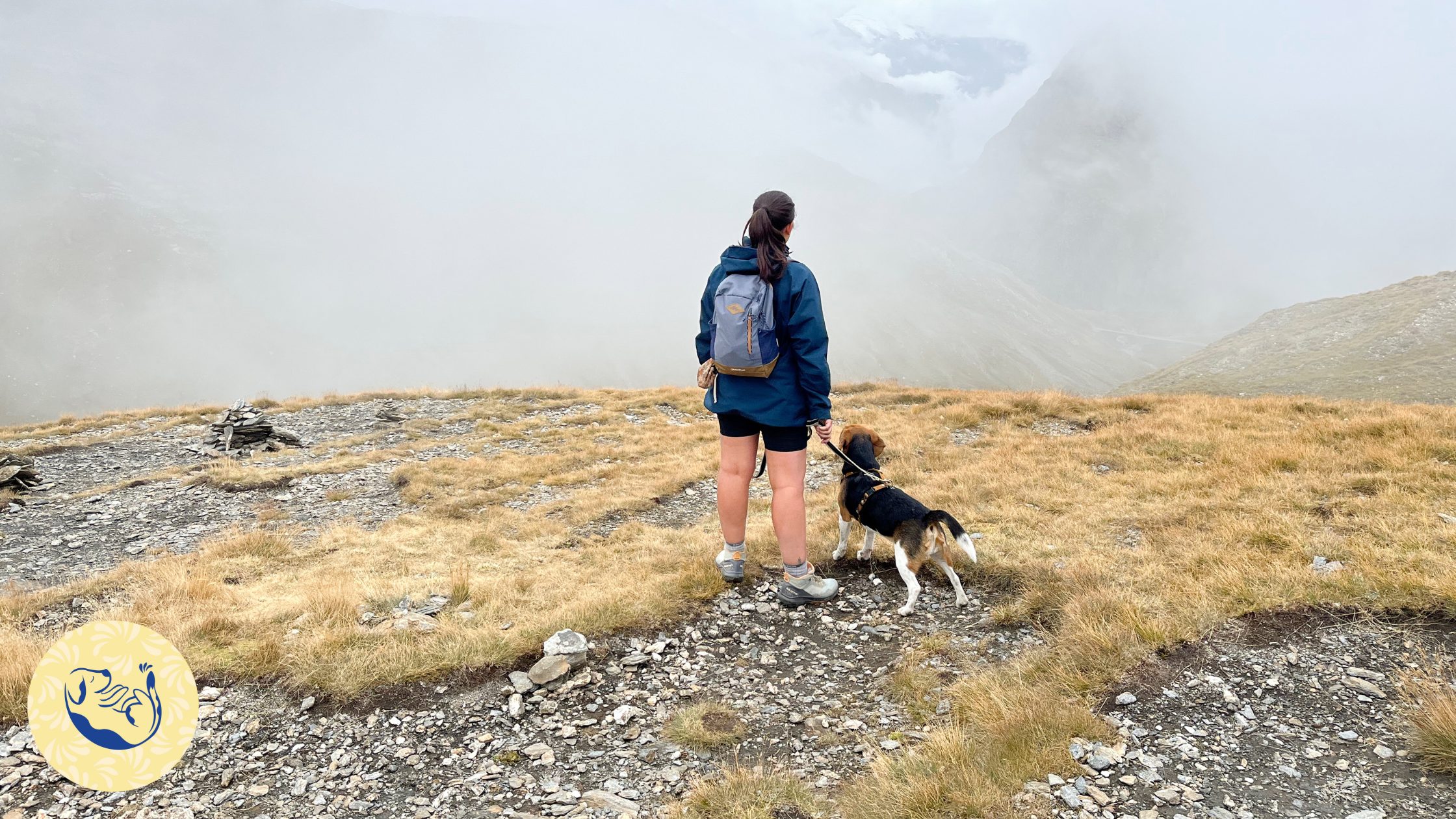 Article sur l'anxiété de séparation chez le chien : un travail long